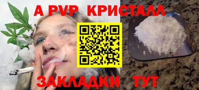 apvp Кунгур