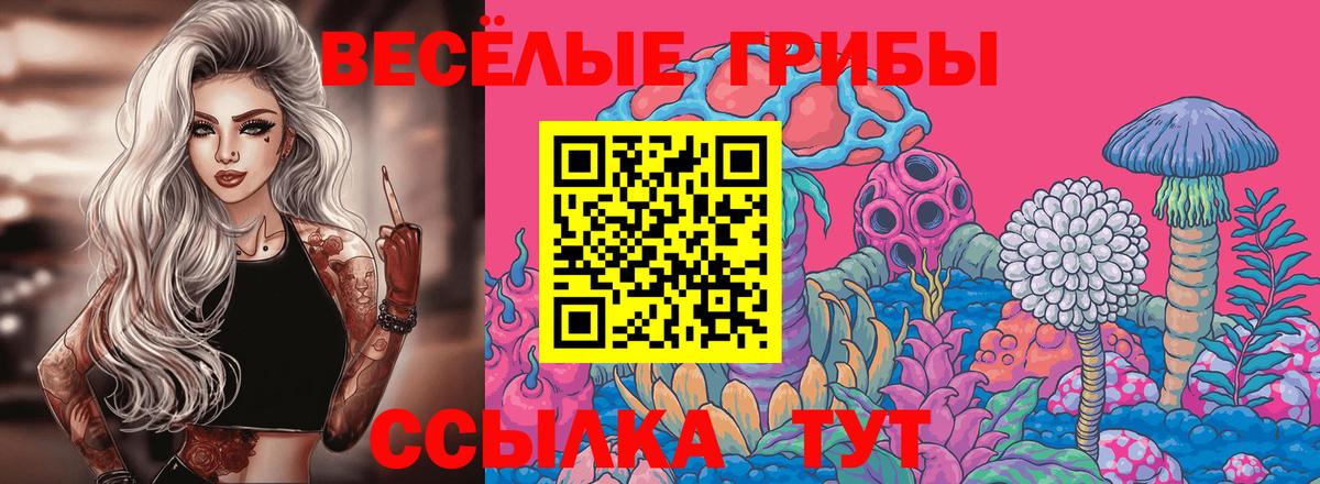 Галлюциногенные грибы мухоморы  Вход с VPN  где купить наркотик  Вязники 